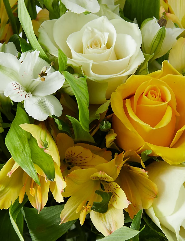 Where To Buy Fairtrade Flowers For Mother S Day Fairtrade Foundation