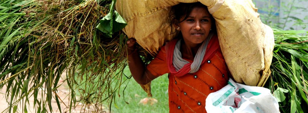 A Fairtrade farmer carrying a sac on her back