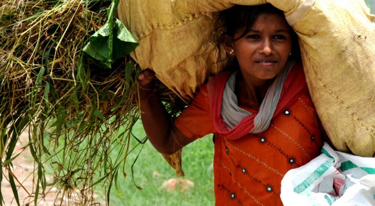 A Fairtrade farmer carrying a sac on her back