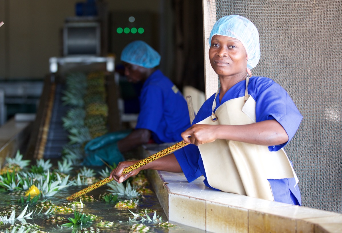 Gold Coast Pineapple farm - competition law trial