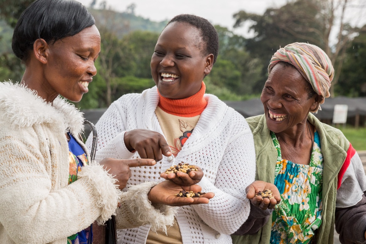 Women doing it for themselves: the first coffee grown by women in Kenya