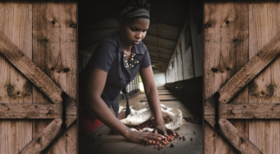 The Trade & Customs Bills – the story so far