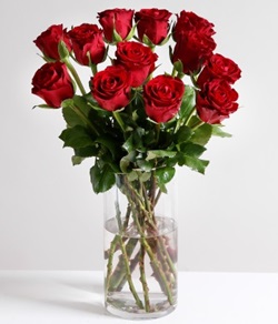 Arena Flowers