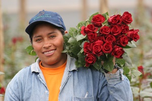 Ecuador flower farm