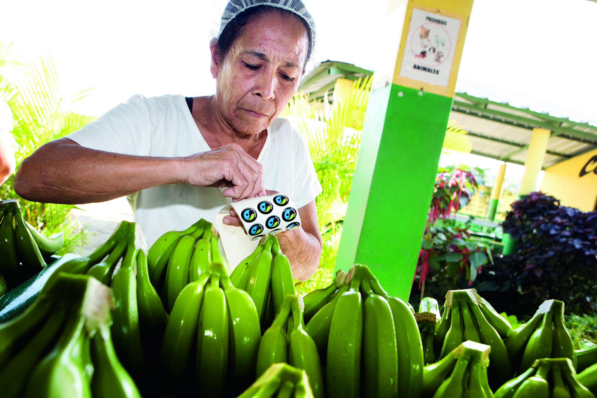 You are currently viewing 7 things people get wrong about Fairtrade
