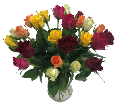 Aldi beautiful blooms for Mother's Day