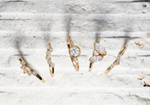 LEBRUSAN STUDIO rings
