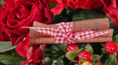 Decorate your home with ethical Christmas flowers