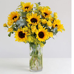 Arena Flowers Fairtrade Sunflowers