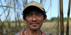 A Faitrade Sugar Cane Farmer in Belize