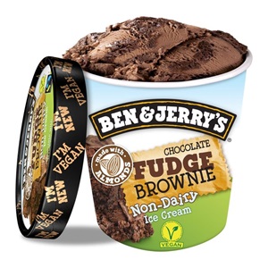 Ben & Jerry's Chocolate Fudge Brownie Ice Cream