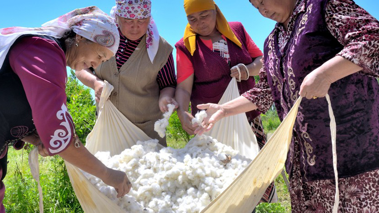 Farmers in Kyrgyzstan sort through freshly picked cotton