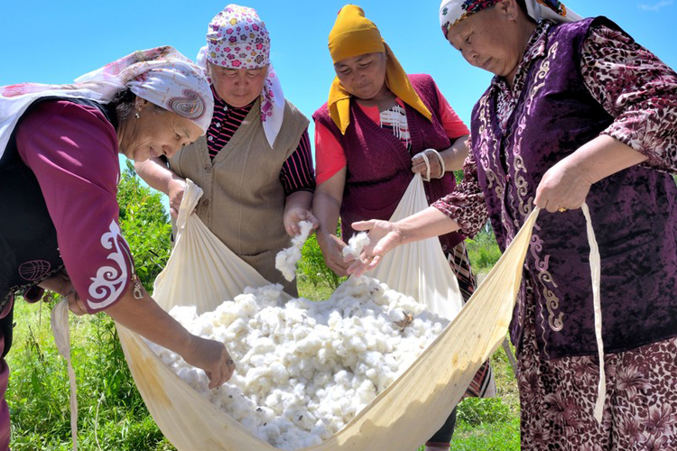 Farmers in Kyrgyzstan sort through freshly picked cotton