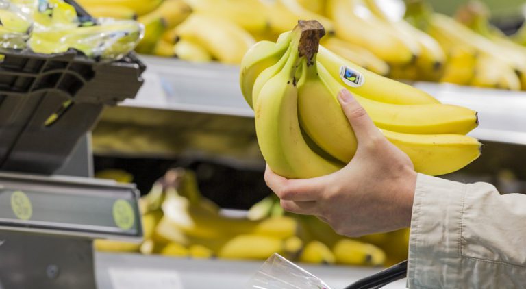 Bunch of Fairtrade bananas