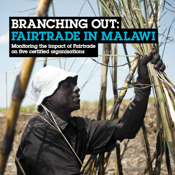 You are currently viewing Branching out – Fairtrade in Malawi