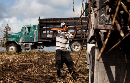 Sugar cane farmer next to truck