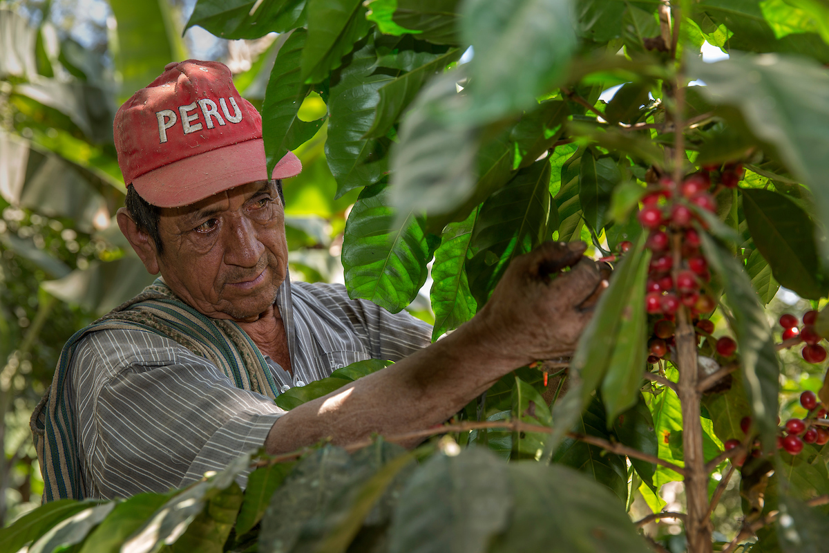 Farmers on climate crisis frontline in urgent need of investment, says Fairtrade CEO