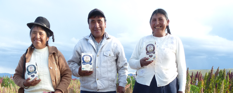 Cabana Co-operative - image from Quinola Mothergrain