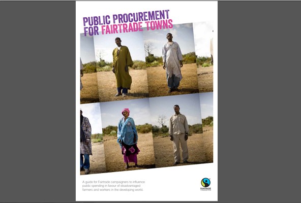 Campaigning procurement guide