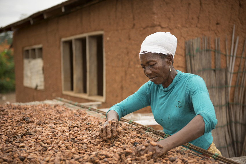 You are currently viewing Fairtrade cocoa farmers take action to keep safe from COVID-19 with support from business partners