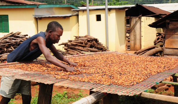 You are currently viewing Fairtrade response to Guardian article on “Fair Trade Scandal”
