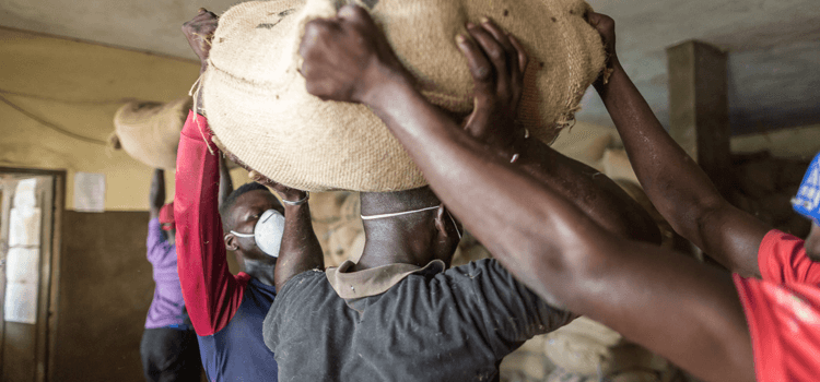 Cocoa farmer balancing sack of cocoa on head