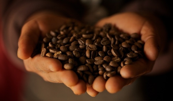 Hands holding coffee beans