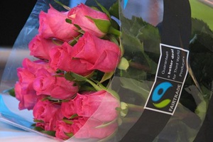 Co-op Roses