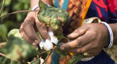 Top 10 Facts about Fairtrade Cotton