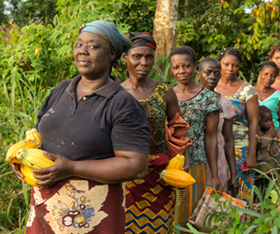 Genevieve, a cocoa farmer from Ivory Coast