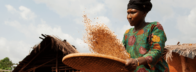 Cocoa producer tossing beans