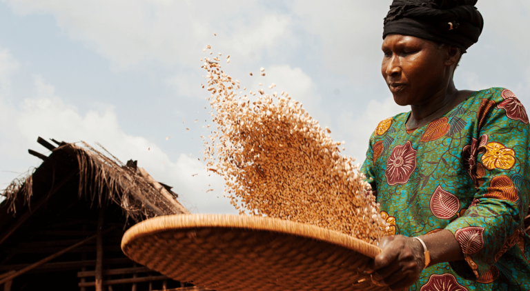 Cocoa producer tossing beans