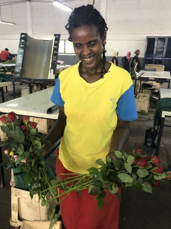 Emebet (a woman) holds red roses in Herburg Roses, Ethiopia 