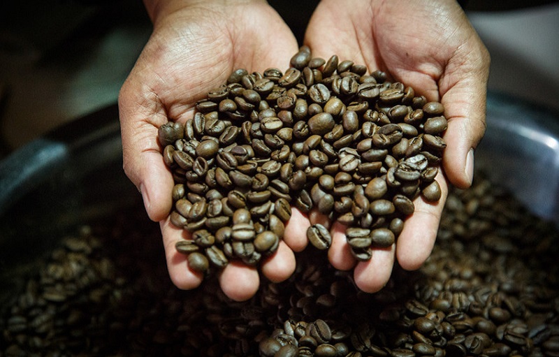 You are currently viewing Is the Coffee Industry Guilty of Exploitation?