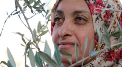Supporting Palestinian farmers through unique challenges
