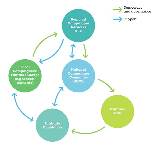 National Campaigner Committee flow chart