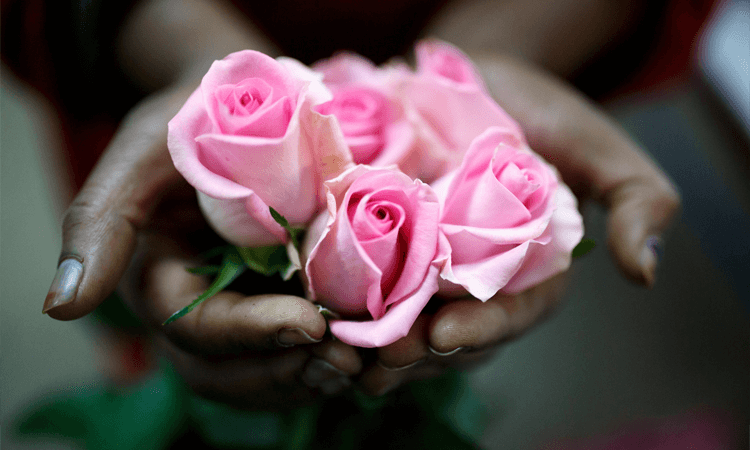 6 Reasons why you should buy Fairtrade Flowers