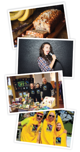 Fundraising snapshots