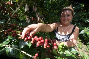 Marlene Talavera Castellón, Fairtrade coffee farmer shows coffee cherries on the tree in Nicaragua