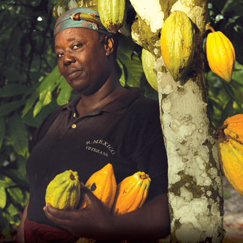 Génévieve, cocoa farmer in the Ivory Coast