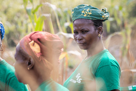 Cocoa farmers in the field