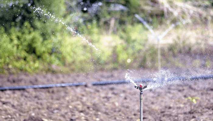 Irrigation System at Chetna Organic, India