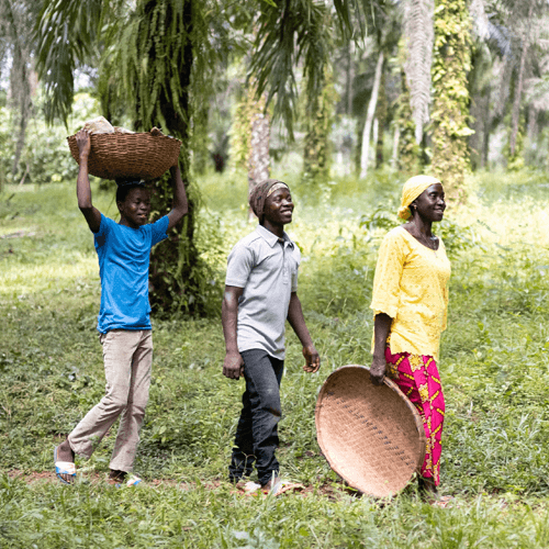 Images for Fairtrade Fortnight 2020