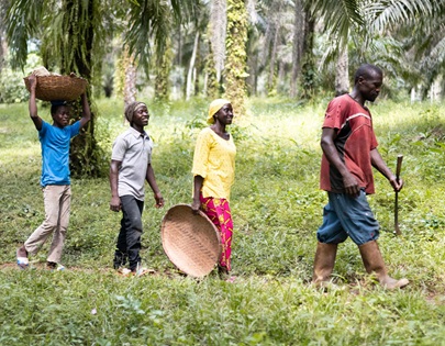 Lucia and family walking through Gola rainforest
