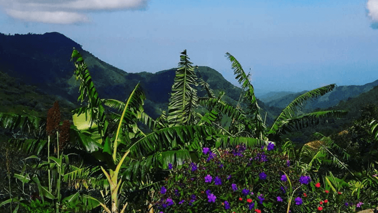 Mountainside