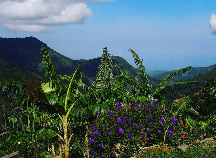 Macana Tourism, Colombia