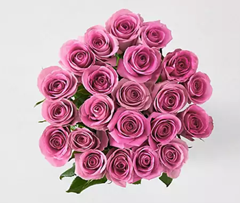 Marks & Spencer's pink Fairtrade roses