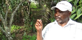 A Fairtrade vanilla farmer in Uganda