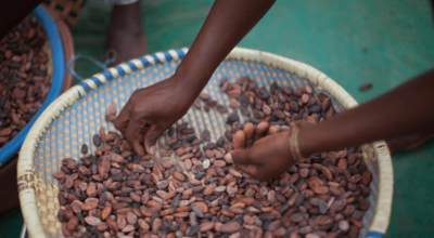 How can we tackle modern slavery?