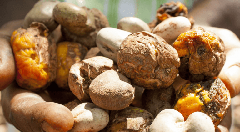 Fairtrade nuts